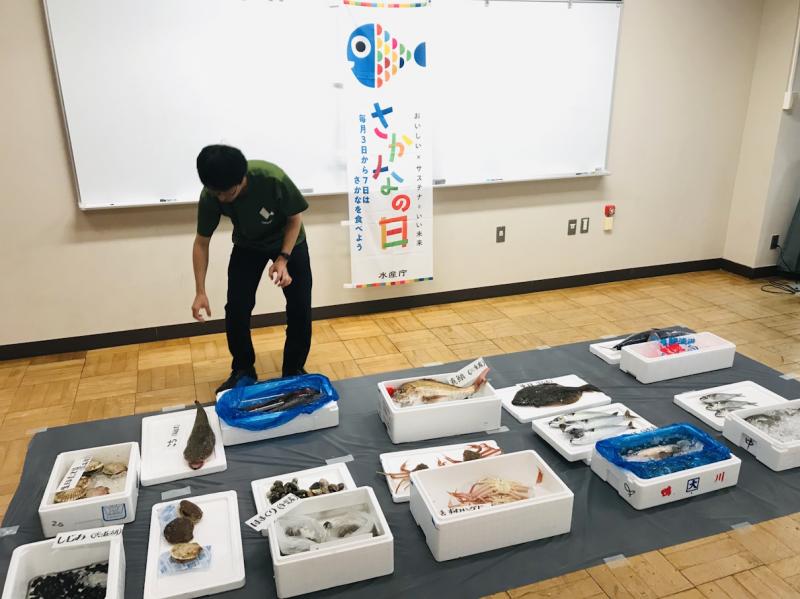 【賛助会より】『鮮魚タッチプログラム(お魚代支援)』(魚食普及推進センター)